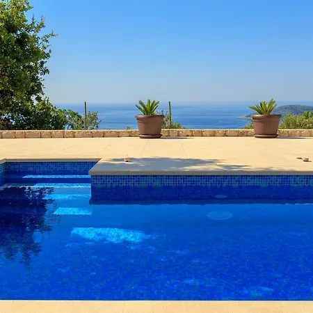 Hedera Estate, Hedera Vii Βίλα *