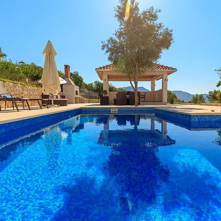 Hedera Estate, Hedera Vii