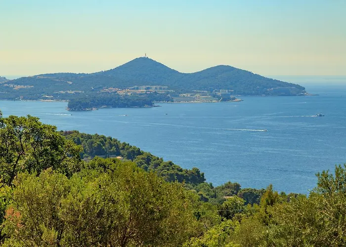 Hedera Estate, Hedera Vii