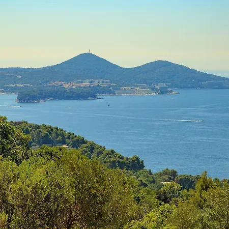 Hedera Estate, Hedera Vii